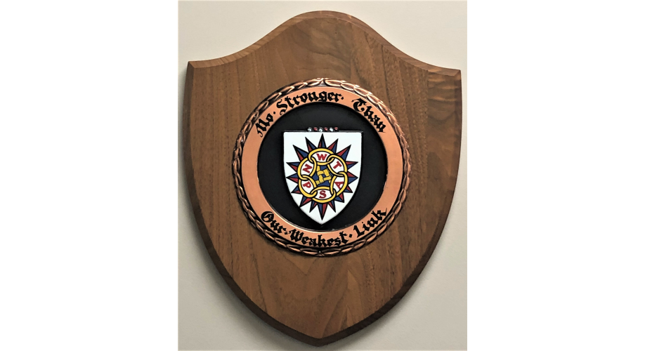 Original NWTPSA Logo on plaque